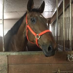 Meet your Posher, Linda